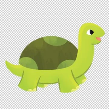 Turtle Stock Illustration