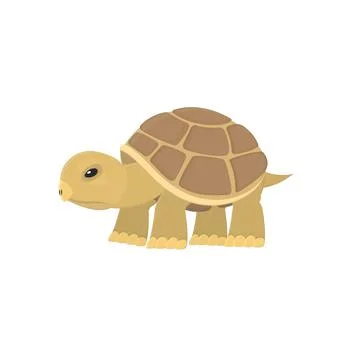 Turtle 스톡 일러스트
