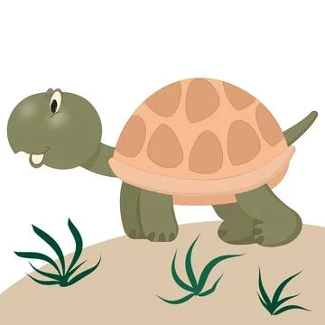Turtle Stock Illustration