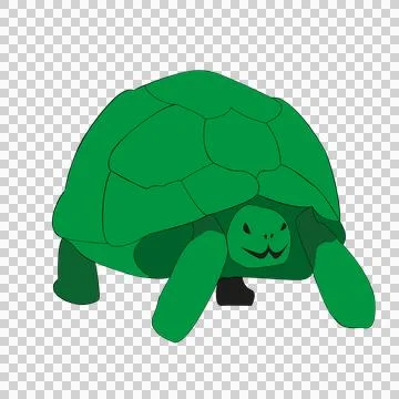 Turtle Stock Illustration
