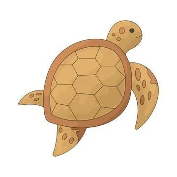 Turtle illustration Stockillustratie