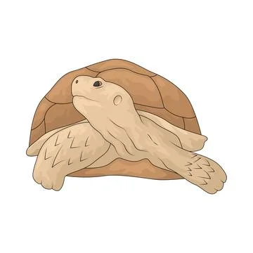 Turtle illustration Stockillustratie