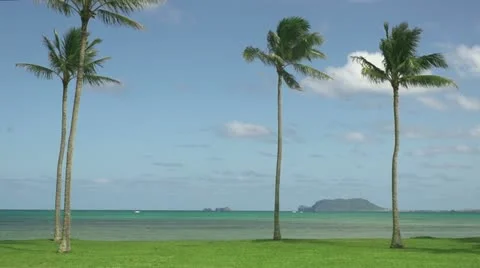 Turtle island Stock Footage 11221344