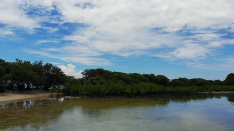 Turtle Island Stock Footage 194768216