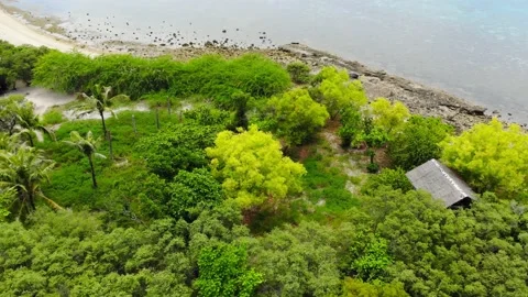 Turtle Island Stock Footage 194773369