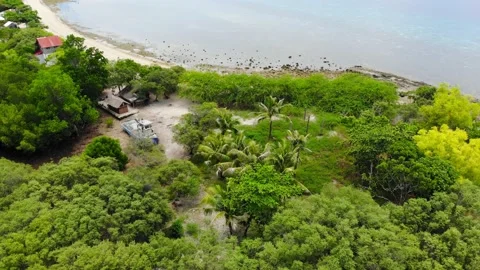 Turtle Island Stock Footage 194773896