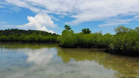 Turtle Island Stock Footage 194785818