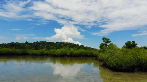 Turtle Island Stock Footage 194787233