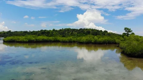 Turtle Island Stock Footage 194790528