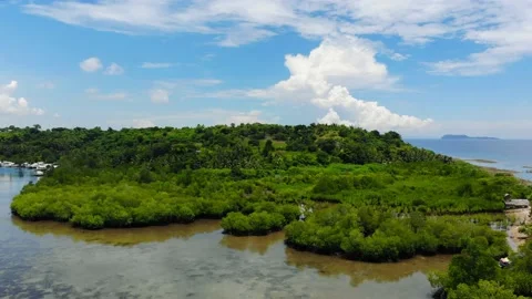 Turtle Island Stock Footage 194792405