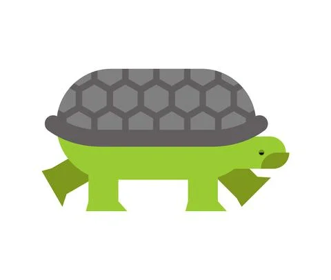 Turtle isolated. tortoise vector illustration. animal cartoon Stock Illustration