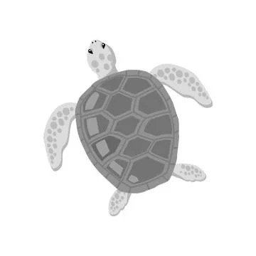 Turtle Isolated on White Background Stock Illustration