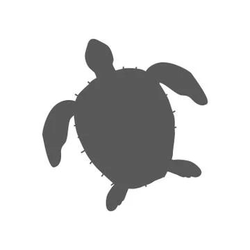 Turtle Isolated on White Background Stock Illustration