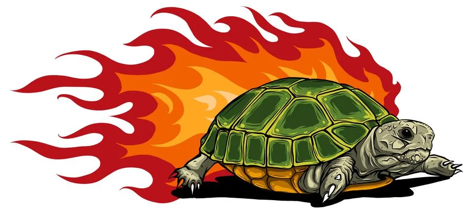 Turtle isolated on white background vector illustration Stockillustratie