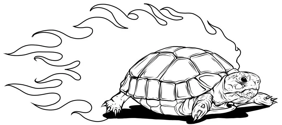 Turtle isolated on white background vector illustration Stock Illustration