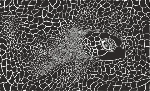 Turtle - Kareta in the background 스톡 일러스트