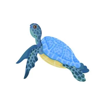 Turtle with light blue armor. Vector illustration on white background. 스톡 일러스트