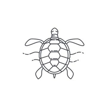 Turtle line icon Stock Illustration