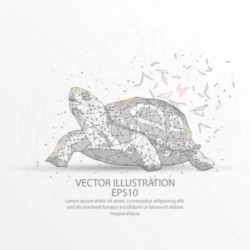 Turtle low poly wire frame on white background. Stock Illustration
