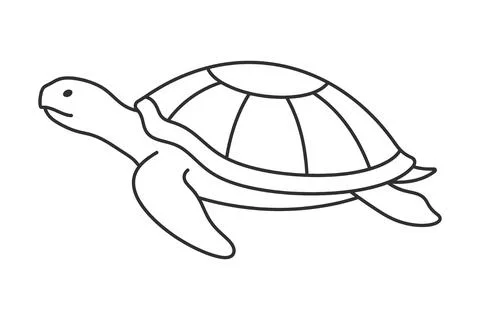Turtle minimal outline for labels and packaging Illustration