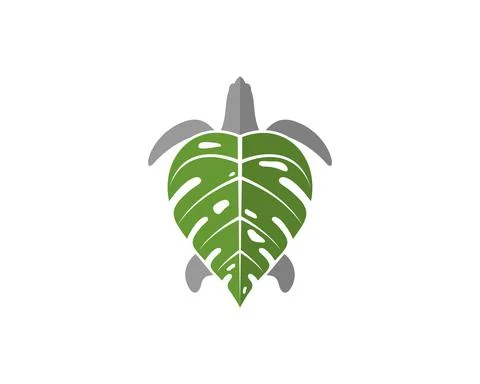 Turtle with nature leaf shell illustration Illustrazione stock