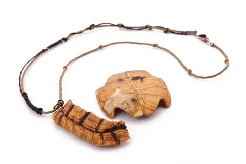 The turtle necklace on the white background Stock Photos