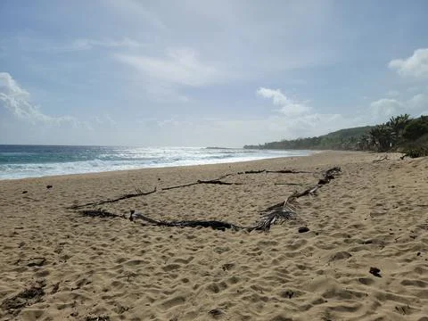 Turtle nest area on beach in Isabela, Puerto Rico with ocean Stock Photos