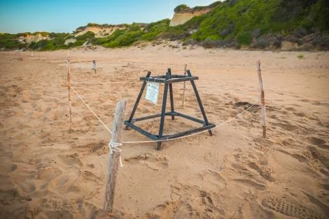Turtle nest. Loggerhead sea turtle nesting site. Special constructions protected Stock Photos
