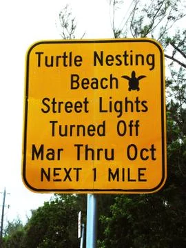 Turtle Nesting Beach Street Lights Turned Off Mar thru Oct Sign Stock Photos