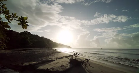 Turtle Nesting Beach/Sunset 4K Stock Footage 152916440