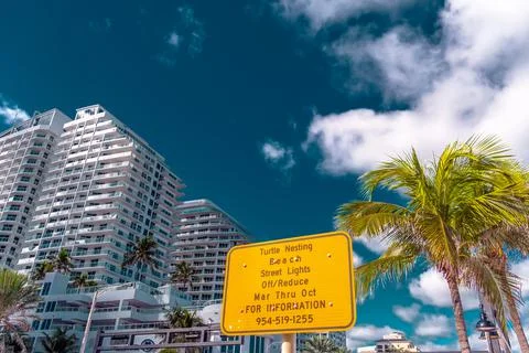 Turtle nesting sign with palm trees on background Stock Photos