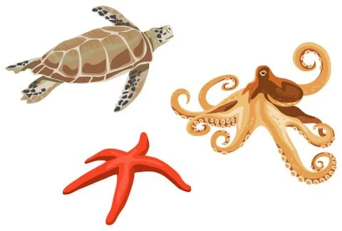 Turtle, octopus and starfish Stock Illustration
