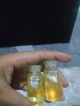 Turtle oil 스톡 사진