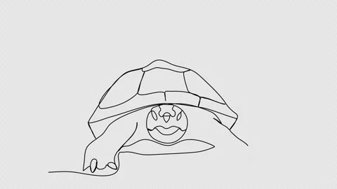 Turtle. One line drawing animation. Video clip with alpha channel. Stock Footage 271524920