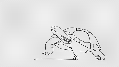 Turtle. One line drawing animation. Video clip with alpha channel. Stock Footage 271732780
