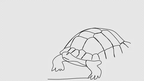 Turtle. One line drawing animation. Video clip with alpha channel. Stock Footage 271732781
