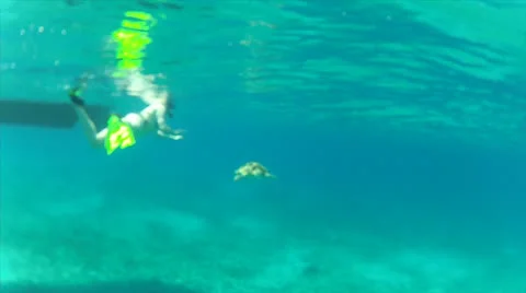 Turtle passes swimmer Stock Footage 24356277