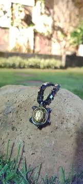 Turtle pendant 库存照片