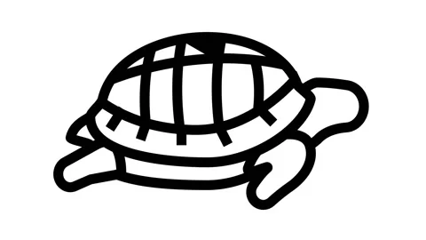Turtle pet line icon animation Stock Footage 164587848
