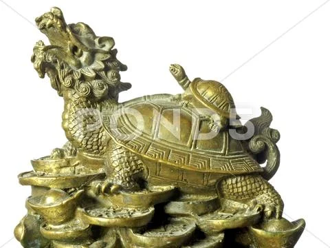 Turtle Stock Photos