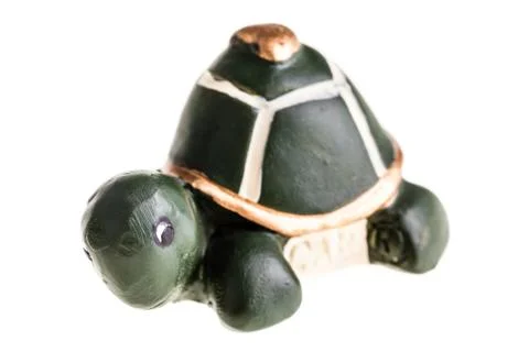 Turtle Stock Photos