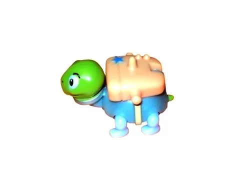 Turtle Stock Photos