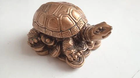 Turtle Stock Photos