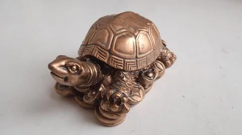 Turtle Stock Photos
