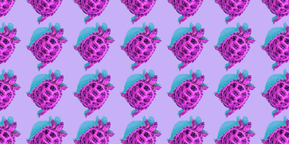 Turtle on pink background 스톡 사진