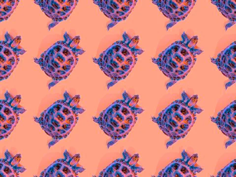 Turtle on pink background Stockfoto's