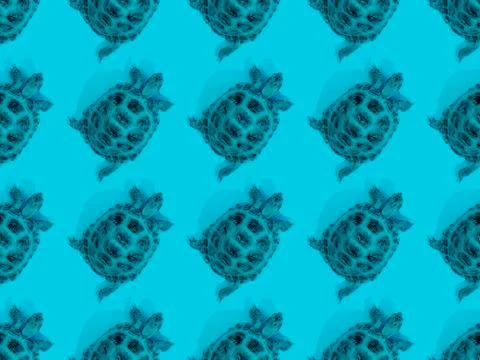Turtle on pink background Stockfoto's