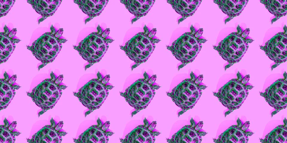 Turtle on pink background Foto stock