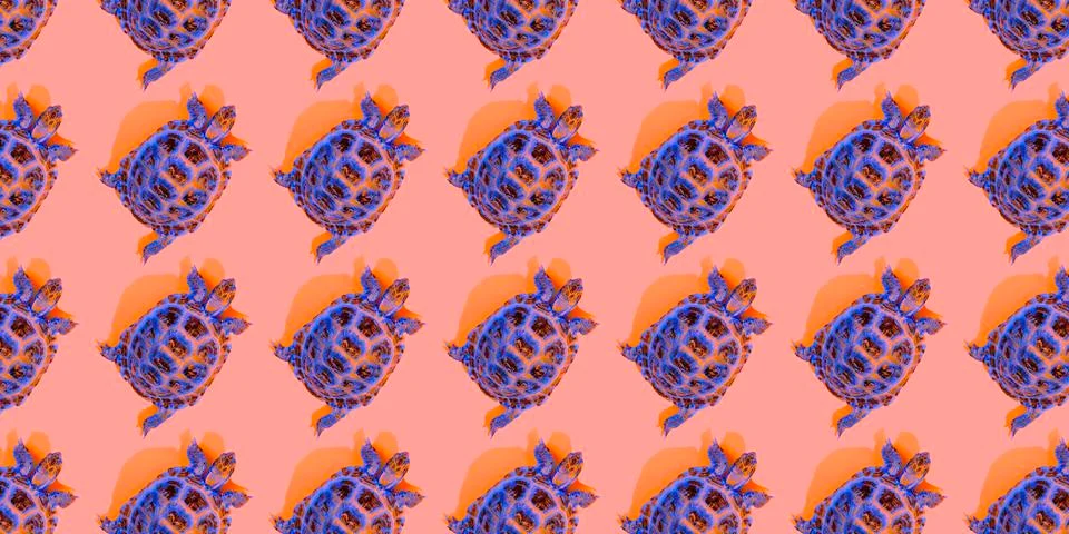 Turtle on pink background 스톡 사진