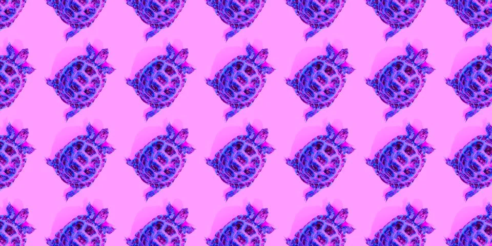 Turtle on pink background 스톡 사진